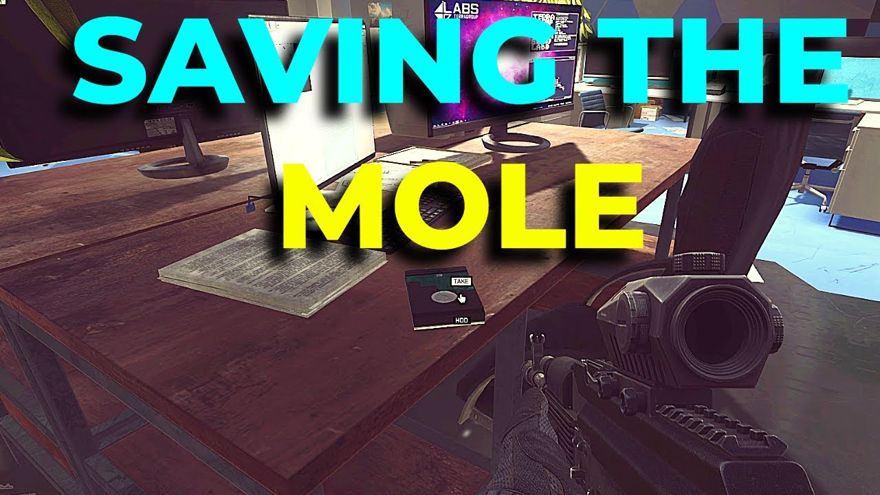 What is Save the Mole Tarkov?